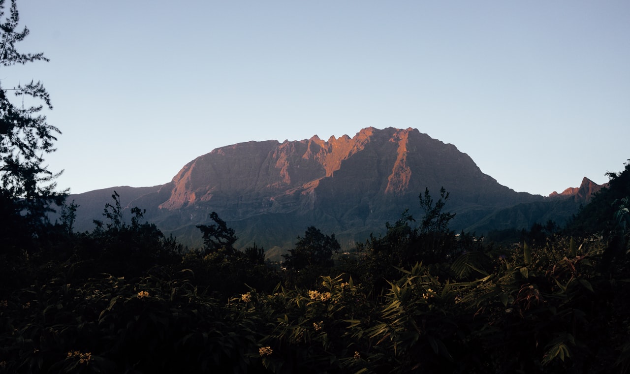 Saint-Denis (La Réunion) — green trees and mountain